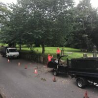 Tree Removal Leeds