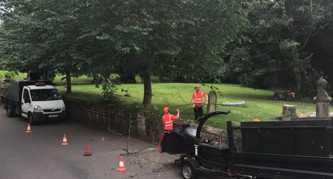 Tree Removal Leeds
