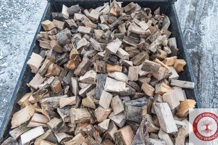 Seasoned Softwood & Hardwood Logs